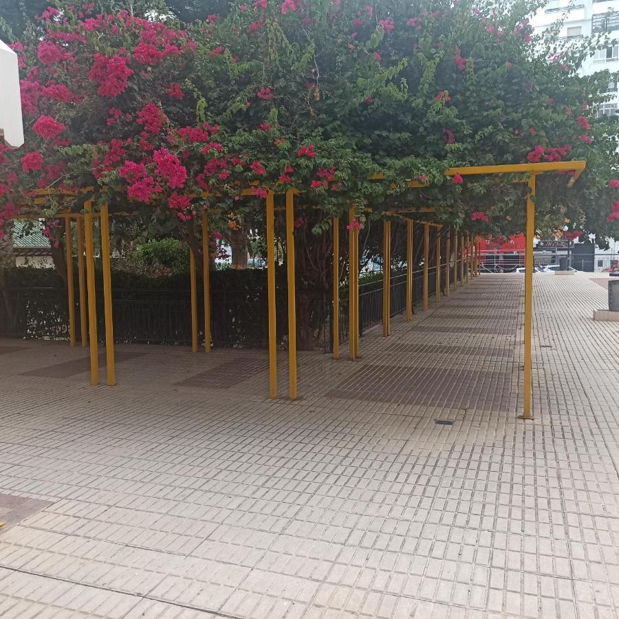 Loft Mediterraneo Málaga Eksteriør billede